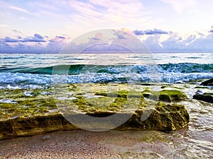 Rocks covered with algae on eroded ocean beach at colorful sunrise