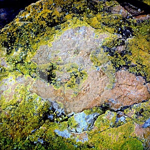 Rocks covered in green lichen