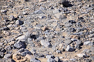 Rocks in Dead Valley