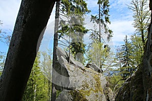 The rocks in deep woods of Å umava national park