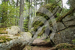 The rocks in deep woods of Å umava national park