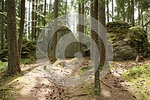 The rocks in deep woods of Å umava national park