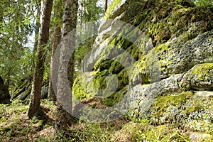 The rocks in deep woods of Å umava national park