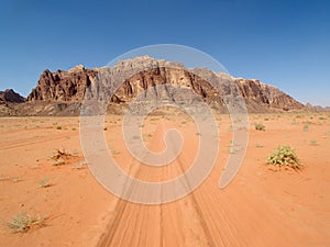 Rocks at Desert