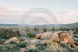 Rocks and desert landscape along a dirt road at Pioneertown Mountains Preserve in Rimrock, California