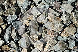 Rocks and dried leaves. good texture