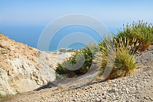 Rocks Ein Gedi. Israel