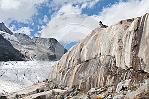 Rocks eroded by glacier