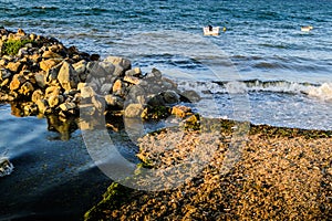 Rocks On The Evening Sea