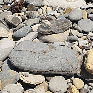 Rocks everytime of the