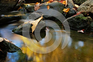 Rocks and fall leaves in creek