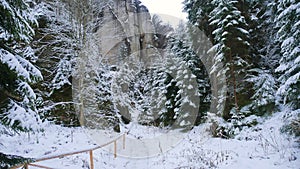 Rocks in the famous rocky city of Adrspach-Teplice rocks. Winter