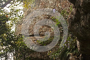 ROCKS WITH FLOWERING VEGETATION