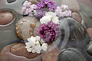 Rocks, flowers, and water