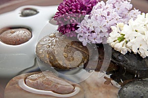 Rocks, flowers, and water