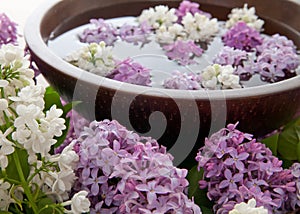 Rocks, flowers, and water