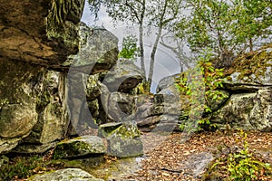 Rocks and Forest