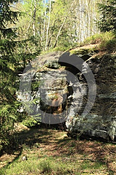 Rocks in forest in Czech Switzerland