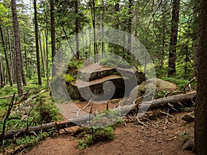 Rocks and forest of Karkonosze National Park.