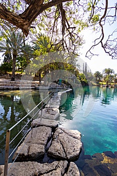 Rocks formed on the edge of a pool of clear water in Gan Hashlosha Park