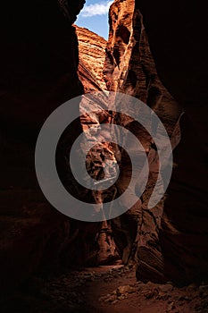 Rocks Glow Bright Orange At The Top of Buckskin Gulch While The Bottom Stays In Shadow