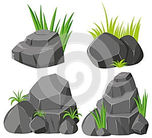 Rocks and grasses on white background