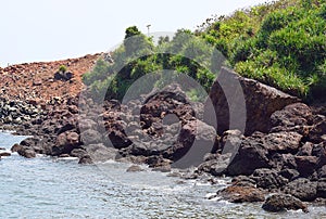 Rocks and Green Grass at Shore