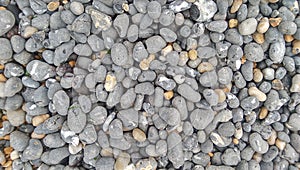 Rocks