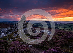 Rocks and heather, Corndon hill from the Stiperstones, Shropshire at sunset