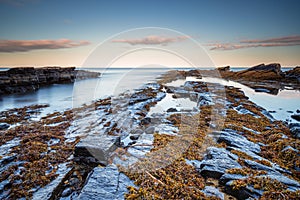 Rocks on Howick Coastline