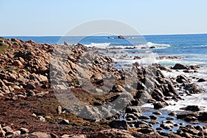Rocks at Injidup Western Australia
