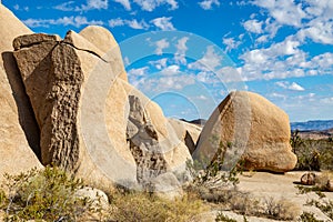 Rocks in Joshua Tree National Park