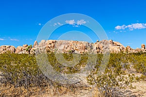 Rocks in Joshua Tree National Park