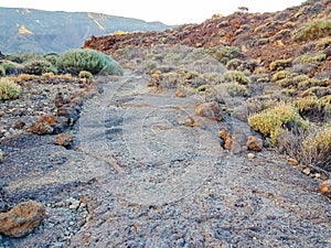 Rocks and lava in caldera of Teide volcano in San Roques de Garcia, Tenerife. Spain photo