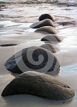 Rocks lined up on the beach.