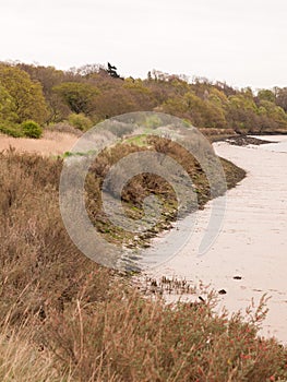 Rocks Lining the Edge of a Coast Sandline with A Clear Sky