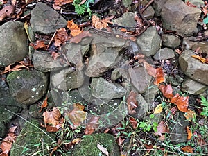 Rocks Lodged into Mountainside Appalachians