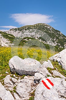 Rocks with marks for hiking path on mountain Hochobir, Austria