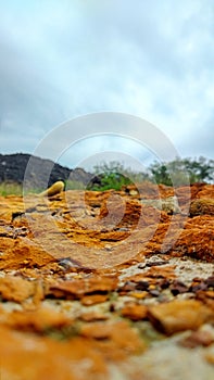 rocks In Match Grass