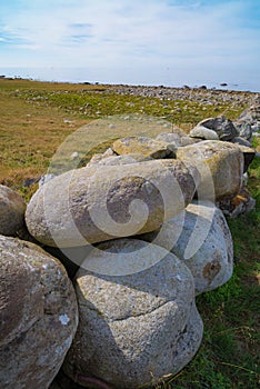 Rocks in a meadow