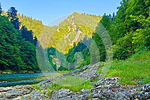 Rocks in the morning in The Dunajec River Gorge