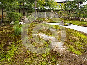 Rocks and moss garden