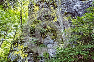 Rocks with moss, Hrb hill, Vepor mountains, Polana, Slovakia