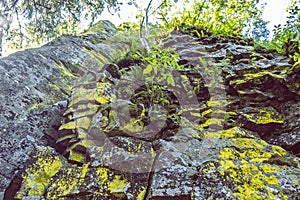 Skály s mechem, vrch Hrb, Vepor, Poľana, Slovensko