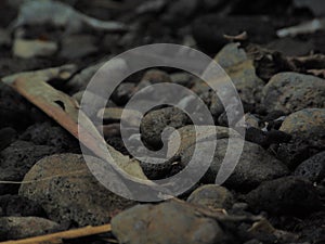 rocks near river and waterfall with twigs and dead leaf