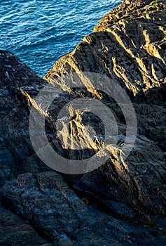 Rocks on the North Devon Coast