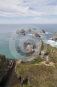 Rocks Nugget Point vertical