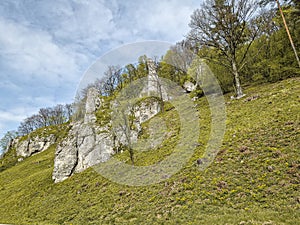 Rocks in Ojców National Park, Poland.