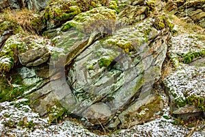 Rocks overgrown with moss, a harsh climate in winter