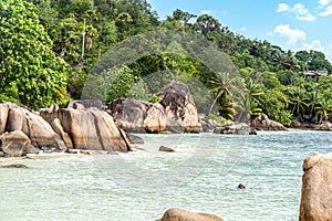Rocks, palm trees and clear water in Anse Citron